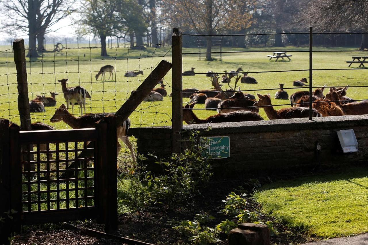 Whitworth Hall Hotel & Deer Park - Durham Spennymoor ภายนอก รูปภาพ