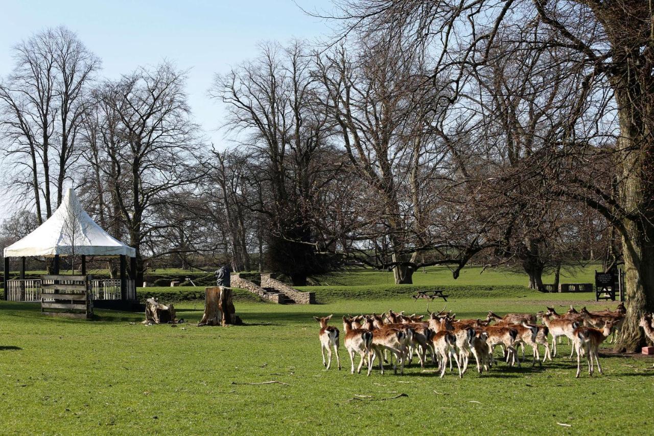 Whitworth Hall Hotel & Deer Park - Durham Spennymoor ภายนอก รูปภาพ